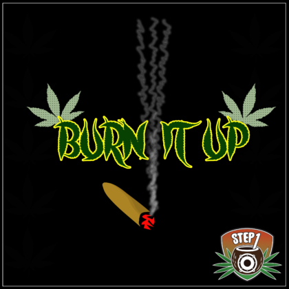 http://www.steponemusic.com/wp-content/uploads/Step-One-Burn-It-Up-mp3-image.png
